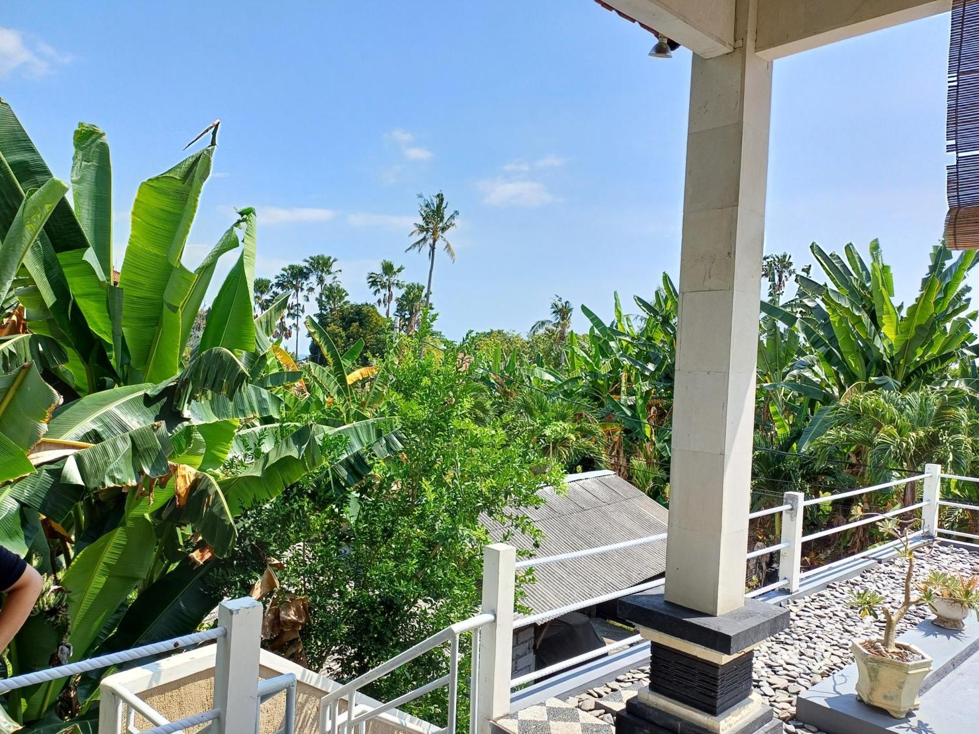 Balinda Rooms & Villa Lovina  Room photo