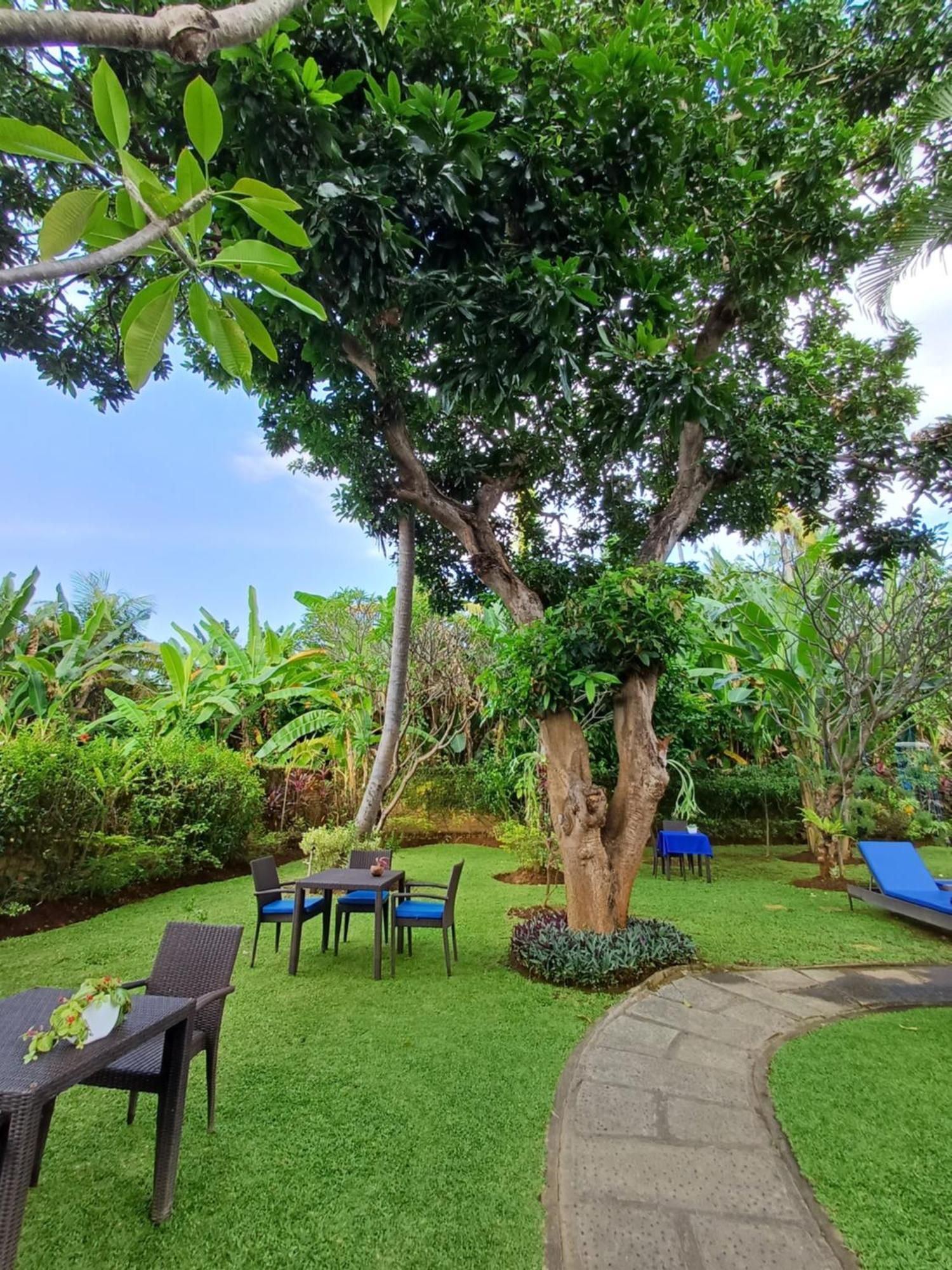 Balinda Rooms & Villa Lovina  Room photo