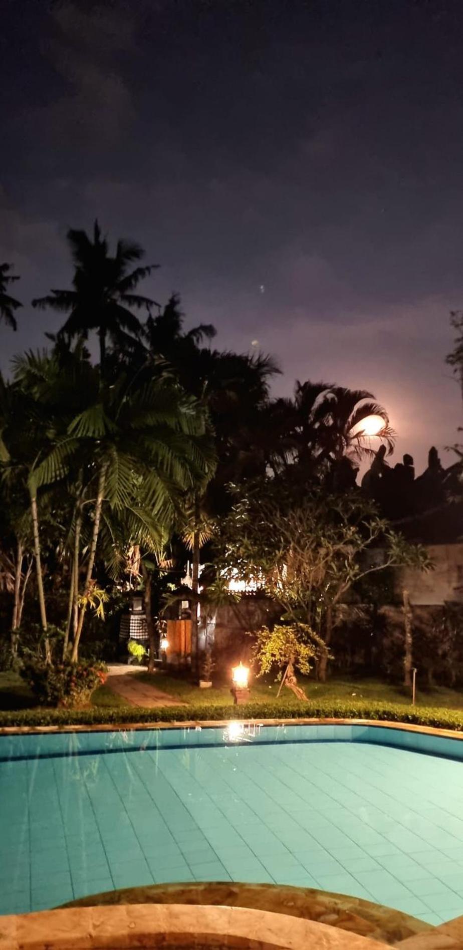 Balinda Rooms & Villa Lovina  Room photo