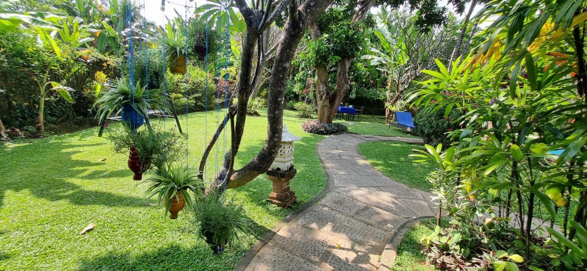Balinda Rooms & Villa Lovina  Room photo