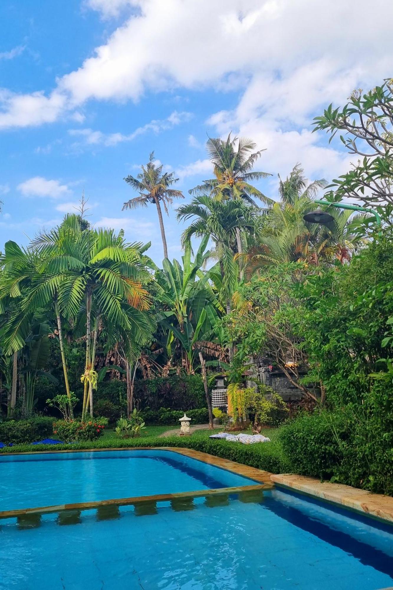 Balinda Rooms & Villa Lovina  Room photo